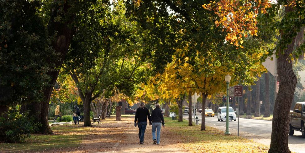 Two people holding hands while walking through park. Trees, trail, street, cars