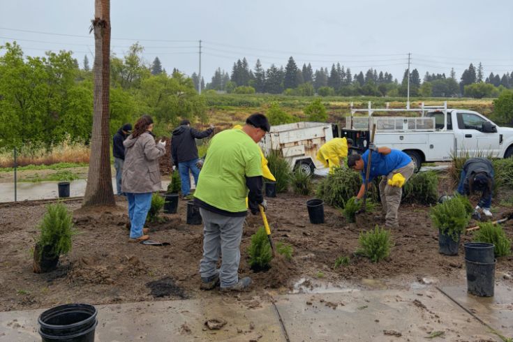 seven people at a park planting shrubs in dirt