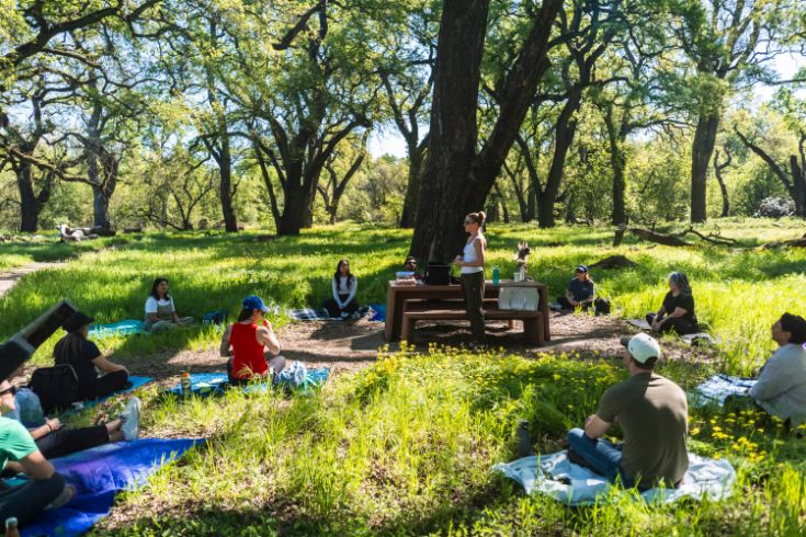 Group of people gathered at park, trees, picnic table, grass