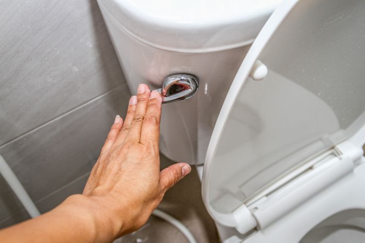 Person flushing toilet