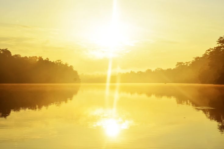 Sun, river, trees