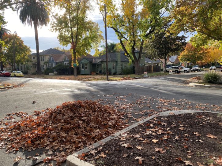 Street, leaf pile, houses, fall trees