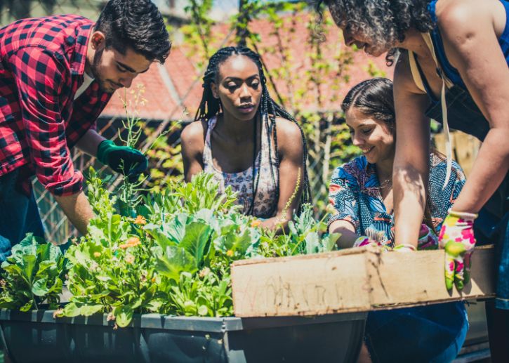 People gardening, plants, bins
