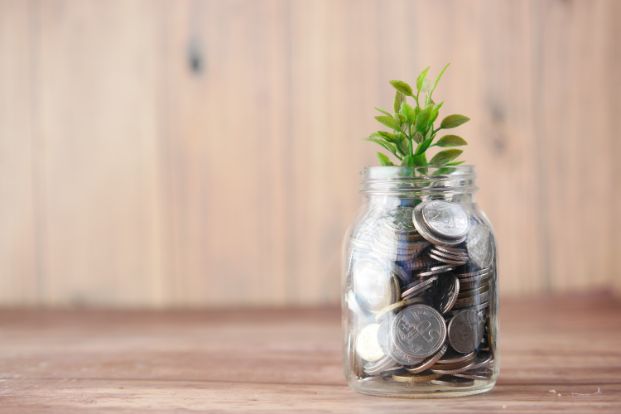 Mason jar full of coins with plant growing on top