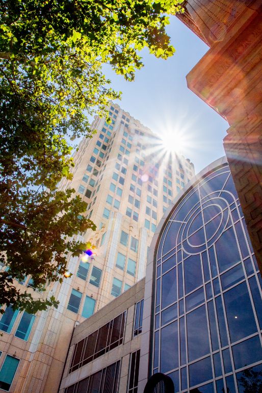 Office of Diversity and Equity Team and Work