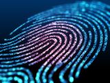 An image of a fingerprint 