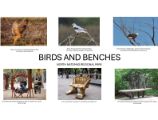 Front Page of the Birds and Benches overview packet