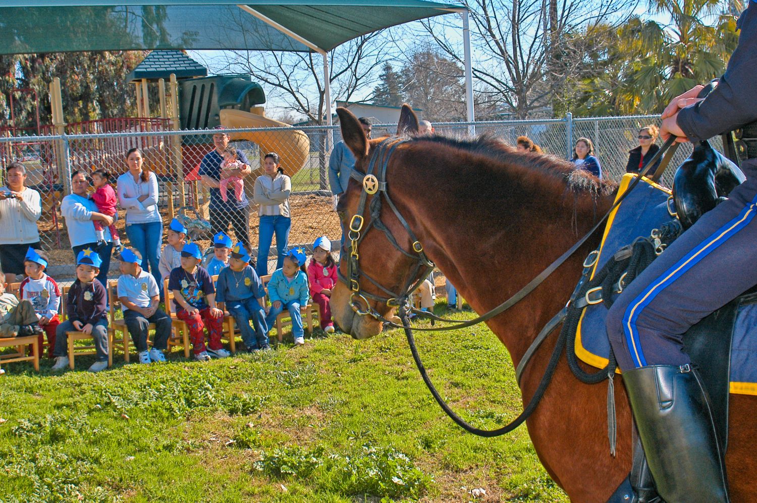 Photo of officer on horse in front of a group of children.