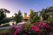 A picture of the Tower Bridge and flowers