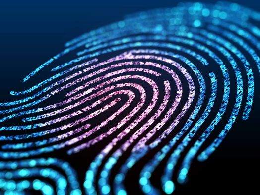 Fingerprinting and Live Scan