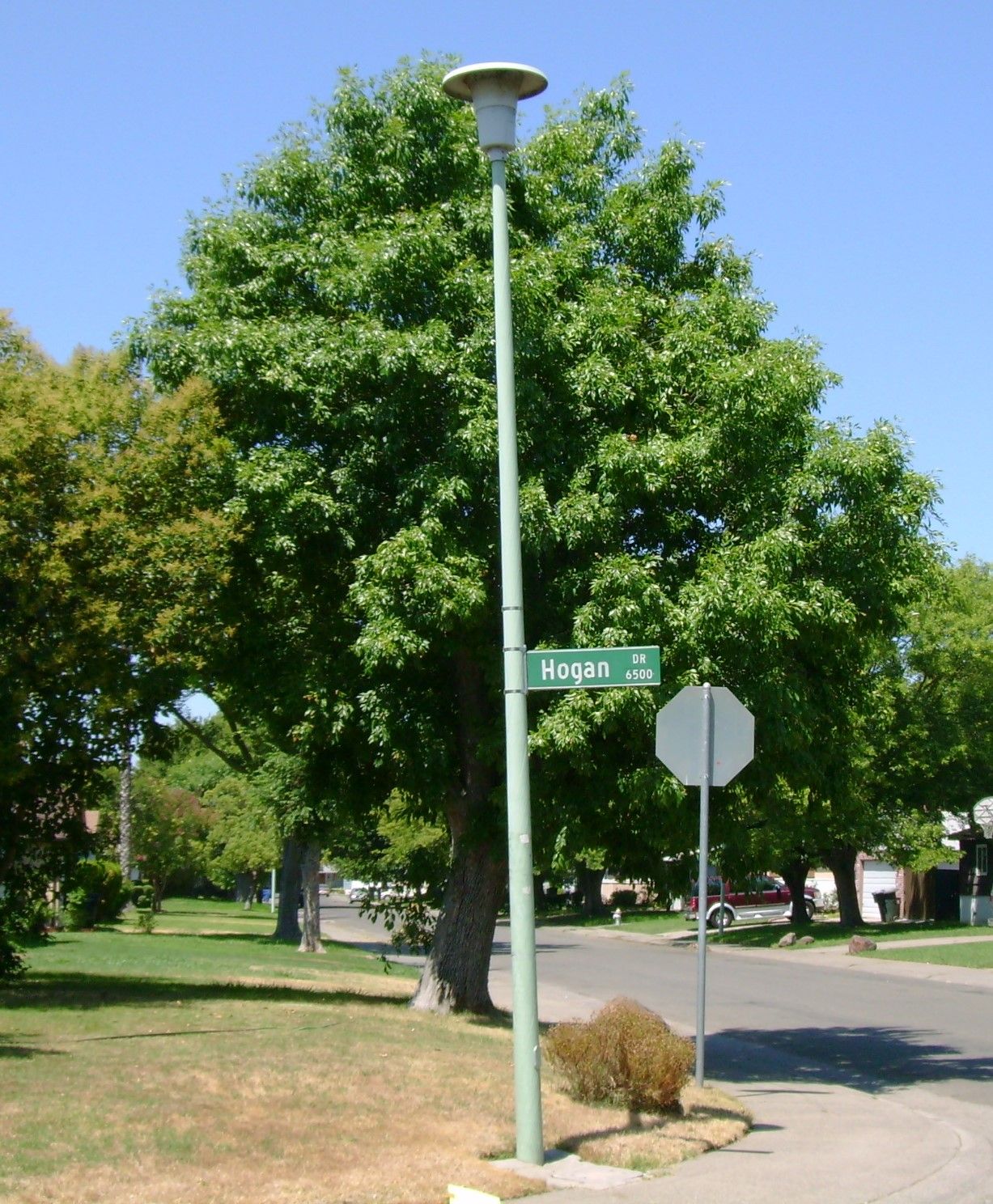 Image of light pole