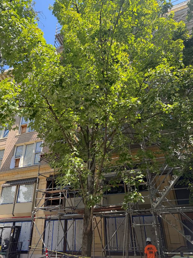  1100 K Street