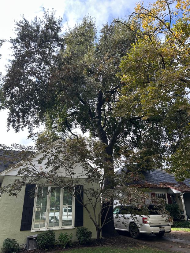 1180 13th Ave.