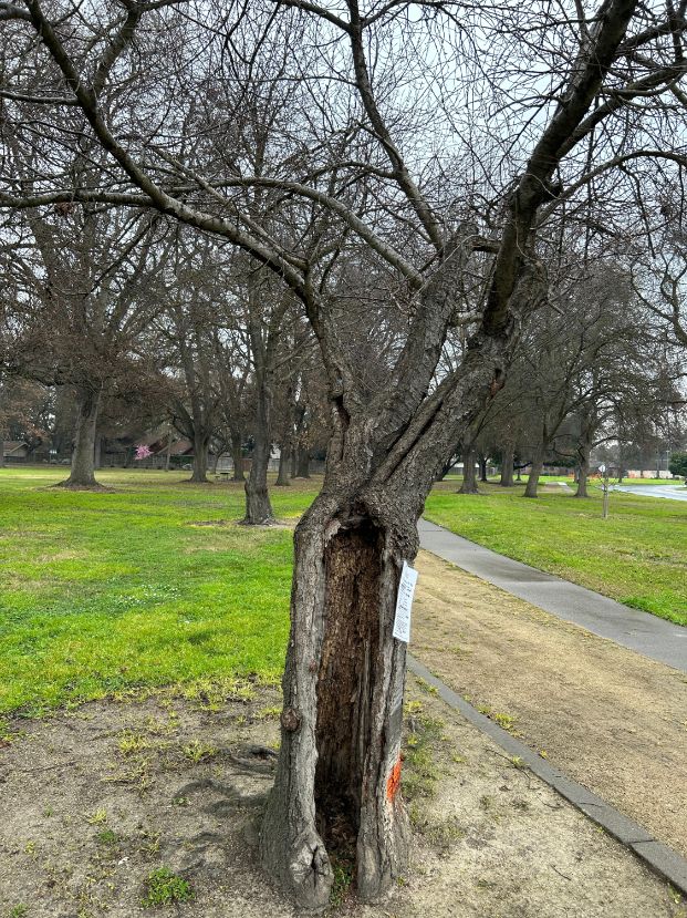 1235 Grand River Drive - Marriott Park