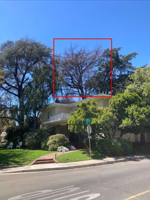 300 42nd Street