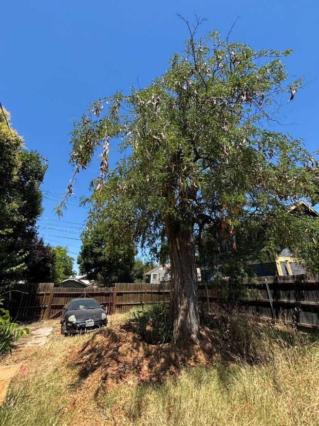 1340 33rd St (Backyard)