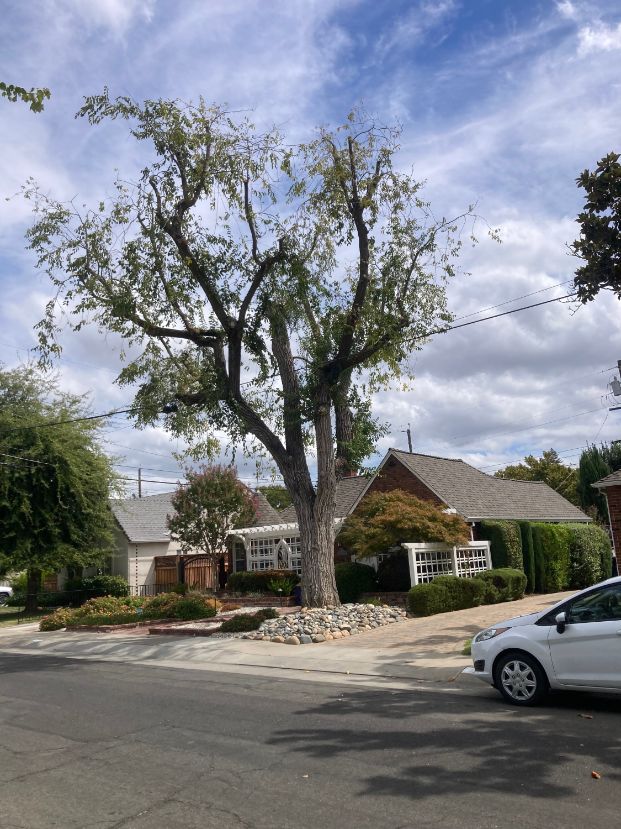 1401 52nd Street