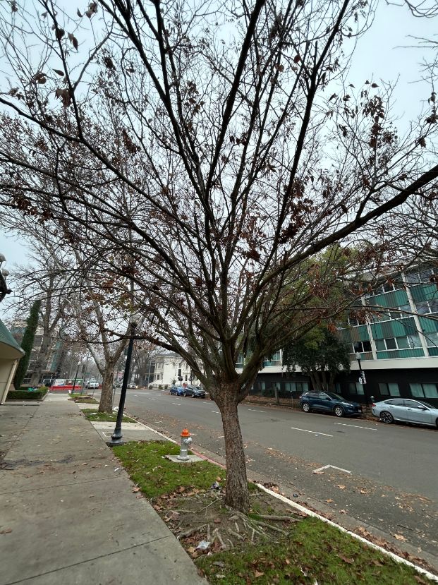 Location: 1422 G St.