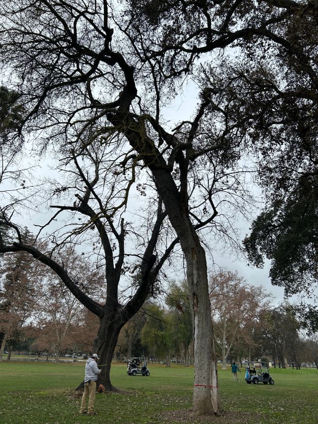 1501 Sutterville Rd.