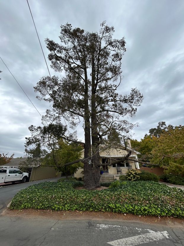  1615 Potrero Way