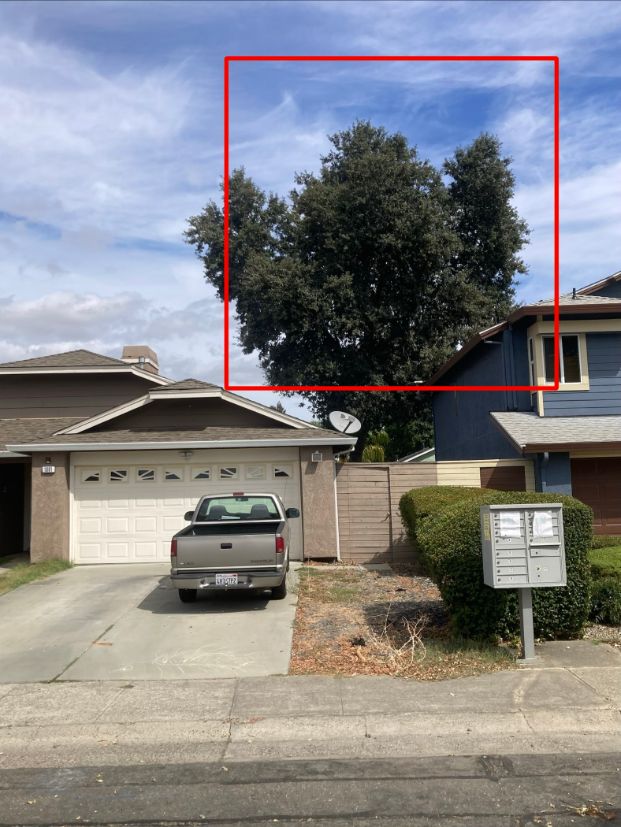 1881 Pebblewood Drive