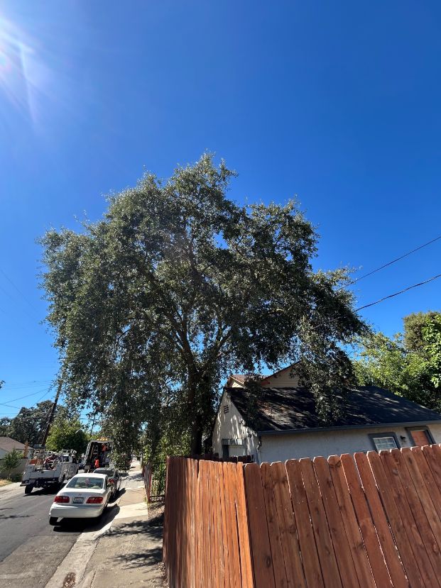  198 Redwood Ave