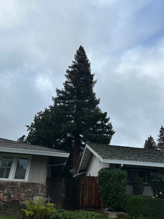  1988 Santa Maria Way