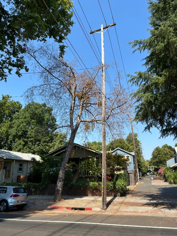 2016 5th St.