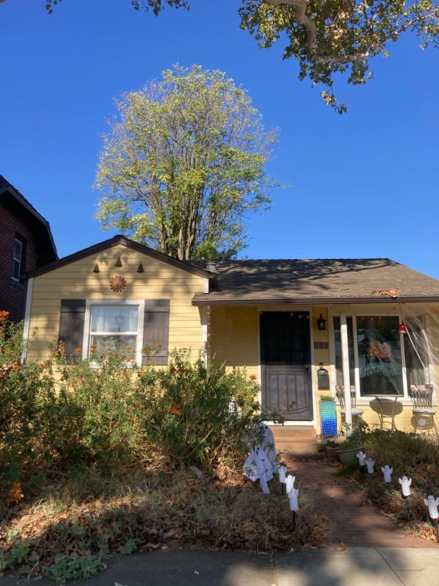 210 21st St. (Backyard)
