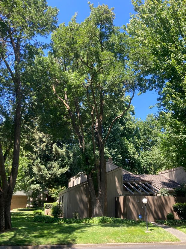 210 Elmhurst Cir