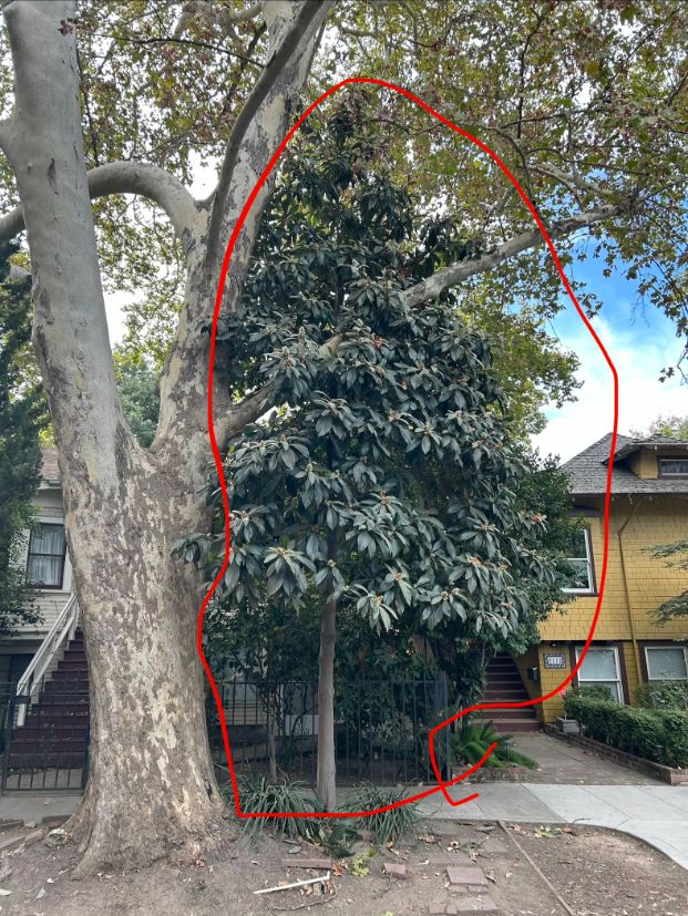 2114 E St.