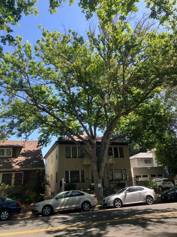 2219 G St.