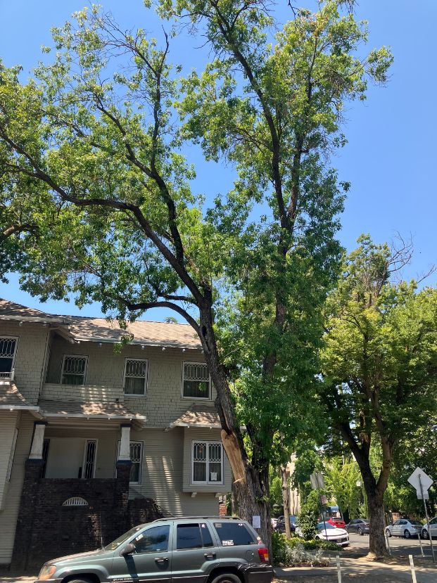  2230 K St.