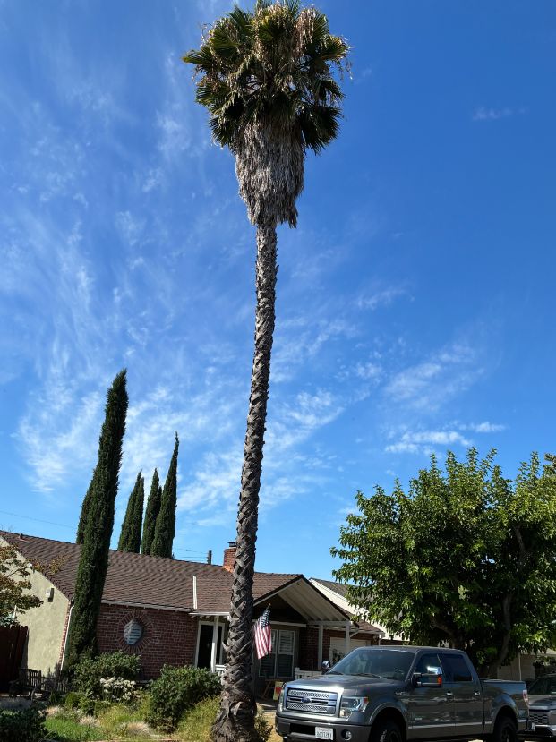 2254 25th Ave