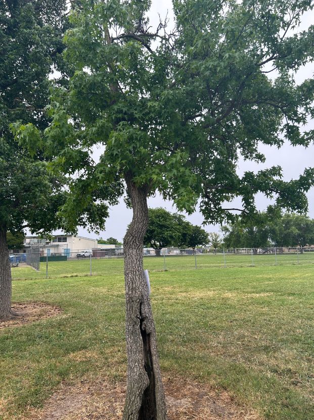  2430 52nd Ave. - Woodbine Park