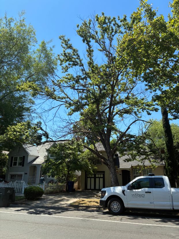 2524 2nd Ave