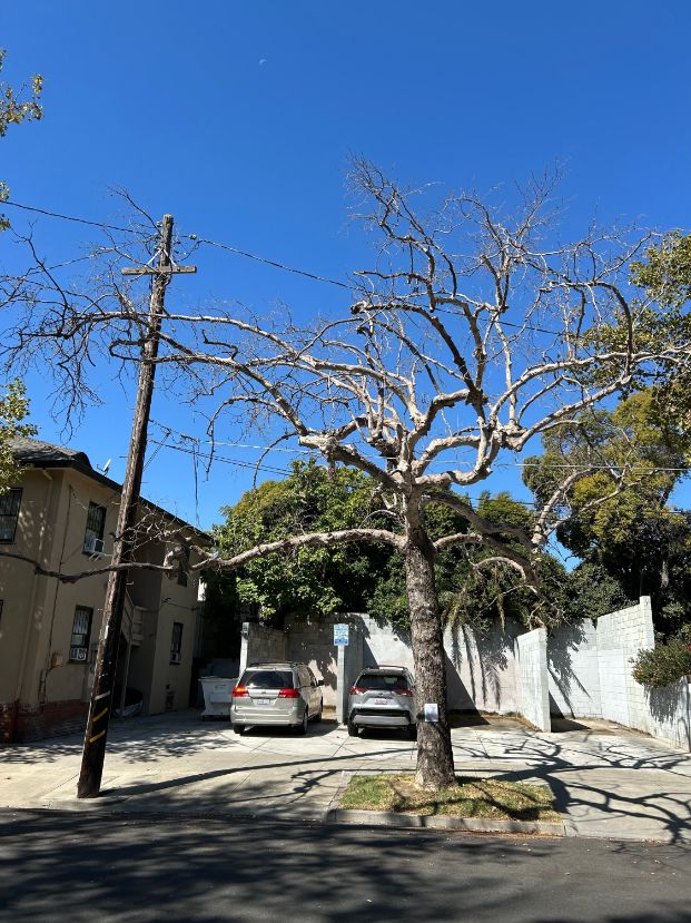 2531 P St.