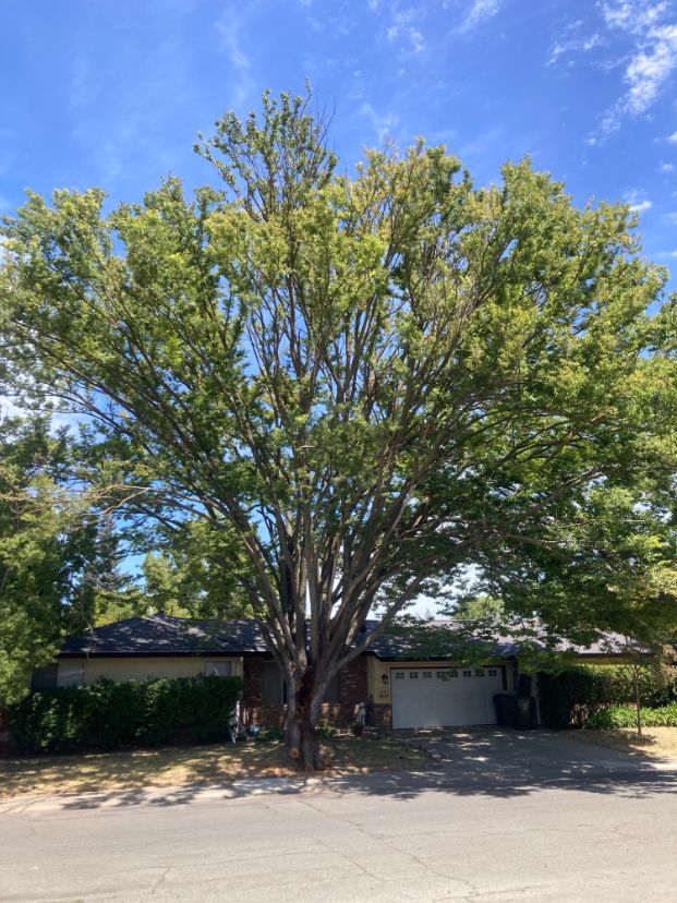 2605 Latham Drive