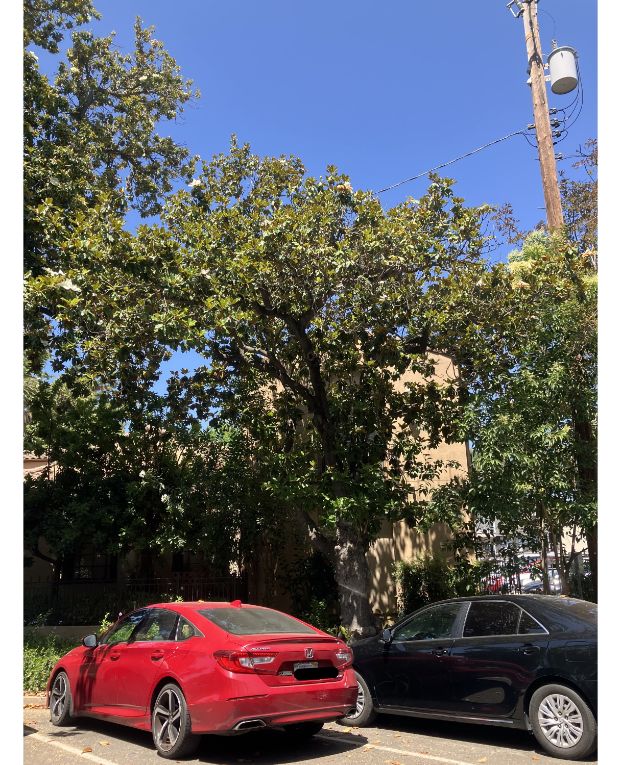 2627 K St.