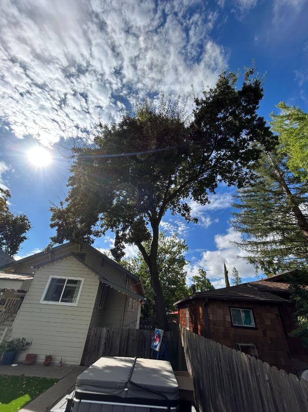 2755 5th Ave. (Backyard)