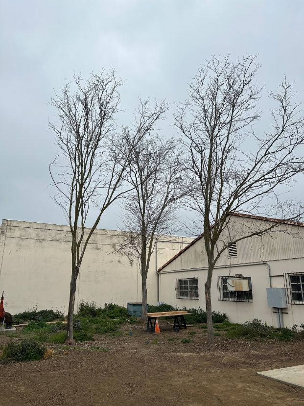 2812 Meadowview Road