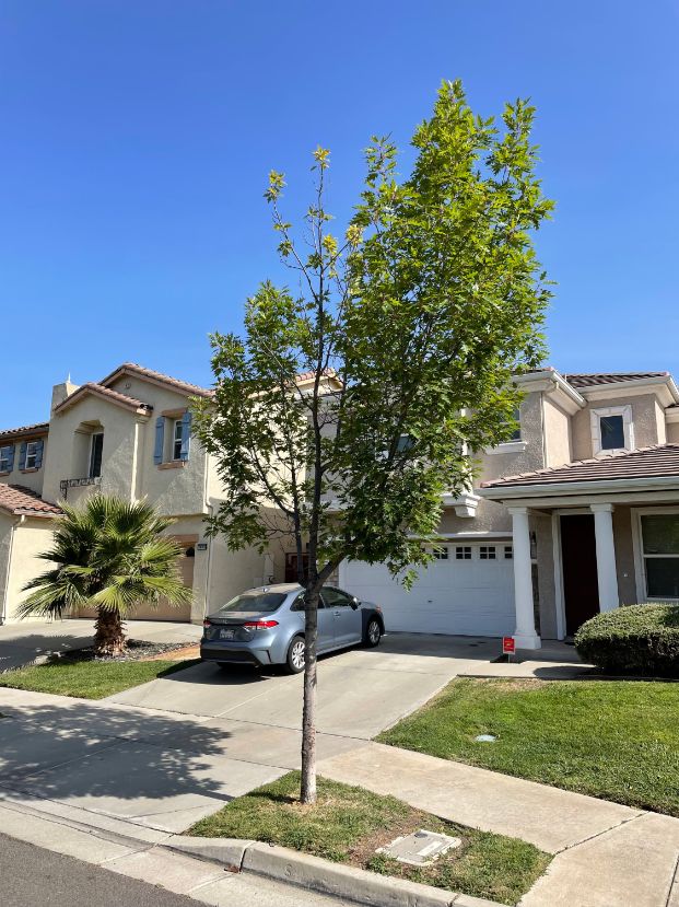  3800 Land Park Dr. - Wm Land Park