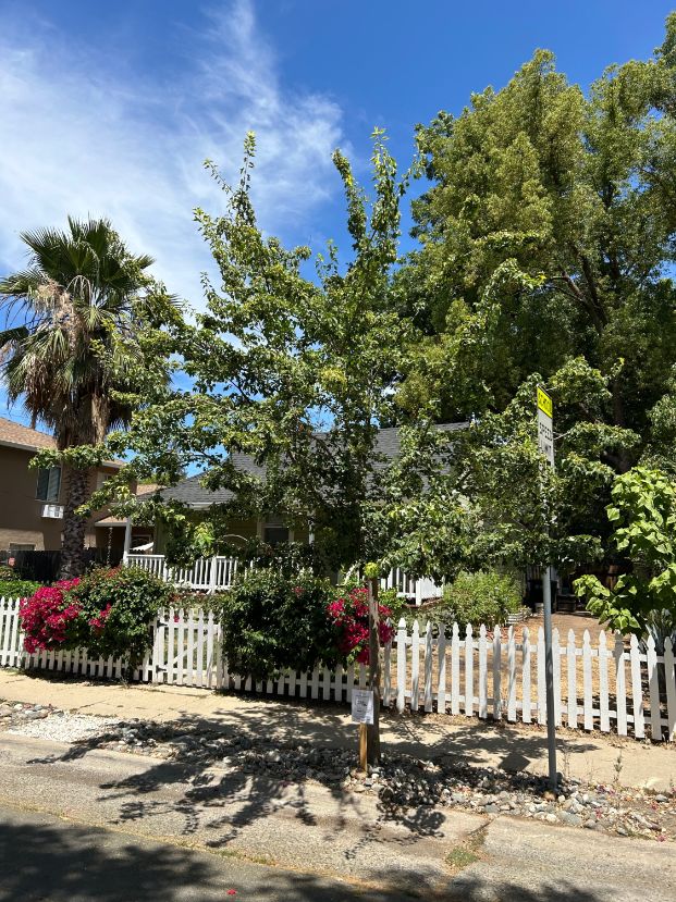 3009 9th Ave