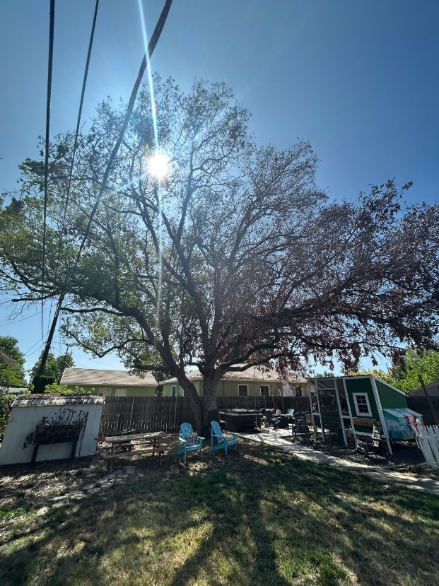  3101 58th St. (Backyard)