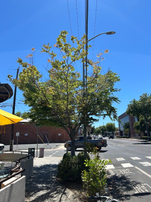 3145 Folsom Blvd