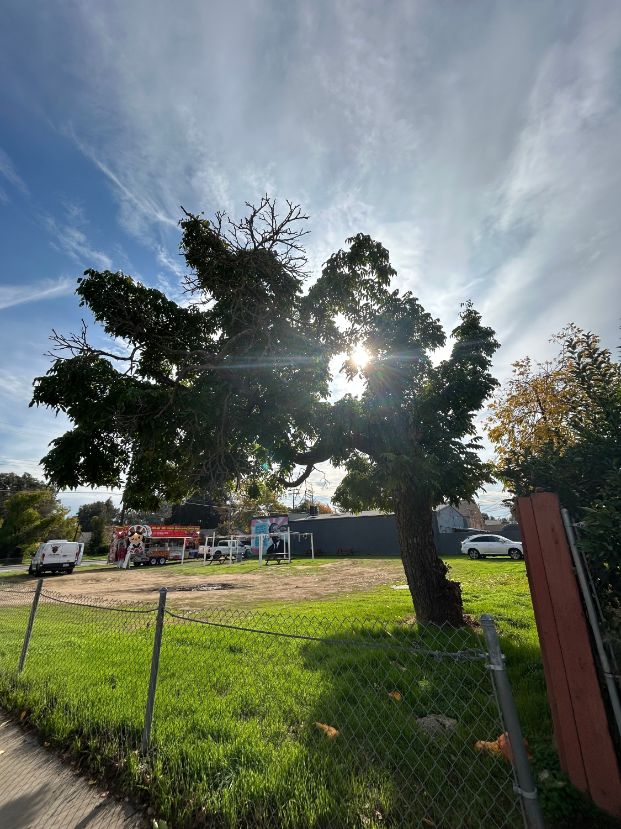 3200 Martin Luther King Jr Blvd