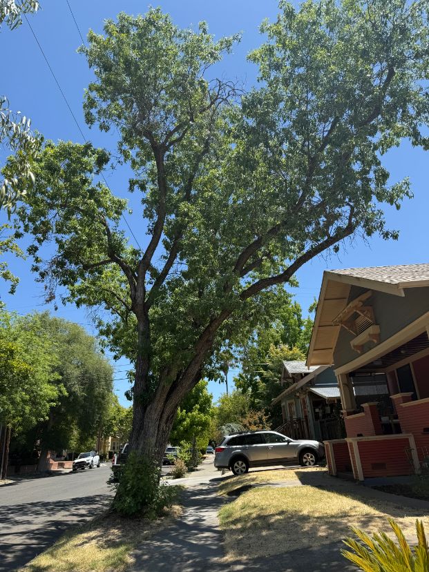 3300 L St.
