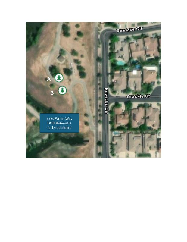 3320 Witter Way - DOU Basin7A