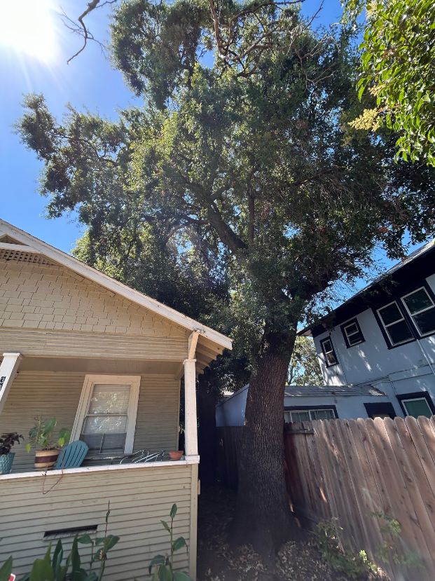 3324 6th Ave