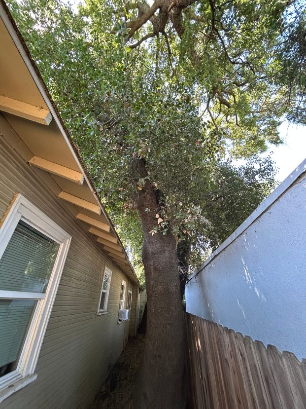  3324 6th Ave